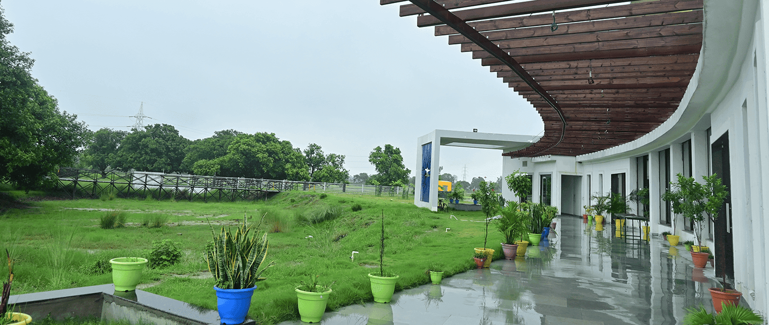 Where local dreams find roots and grow into enterprises!